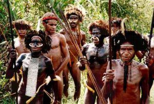Papuan people Who are the Papuans