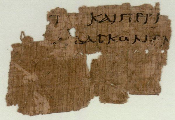 Papyrus 102