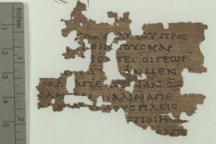 Papyrus 104