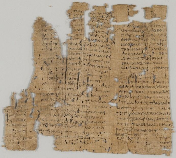Papyrus 12