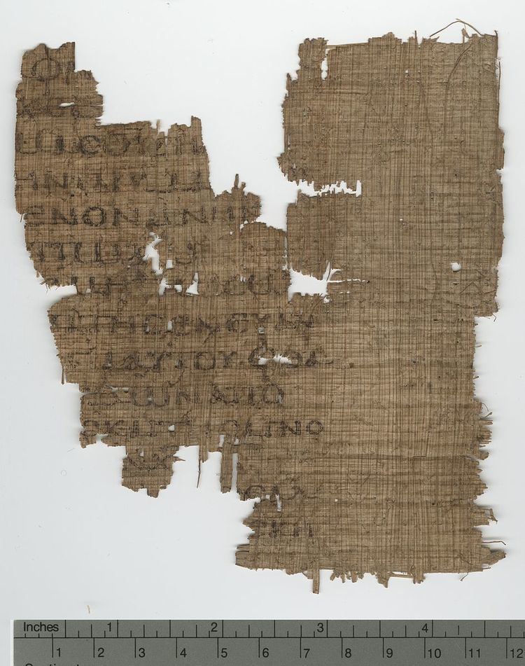 Papyrus 124
