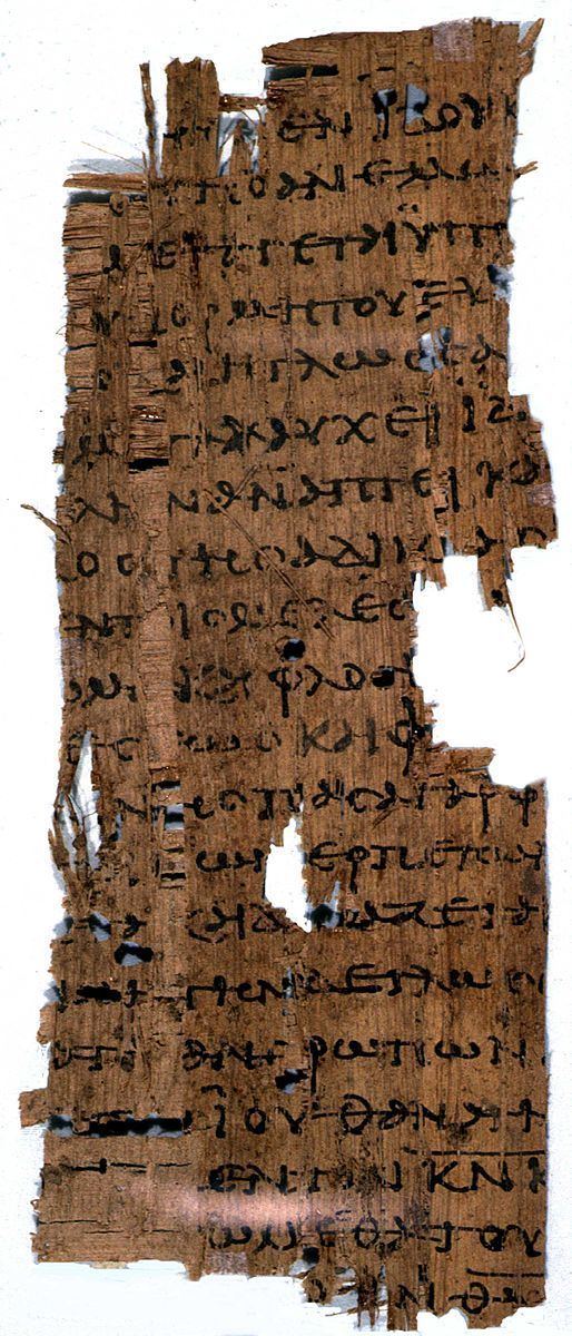 Papyrus 20