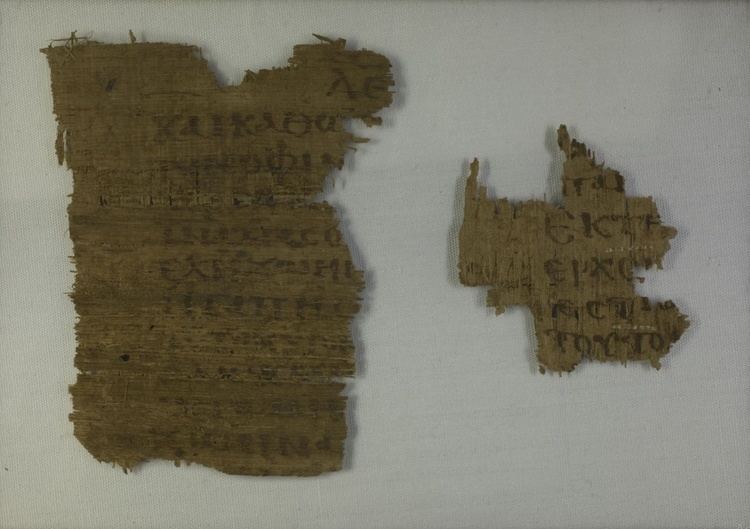 Papyrus 36
