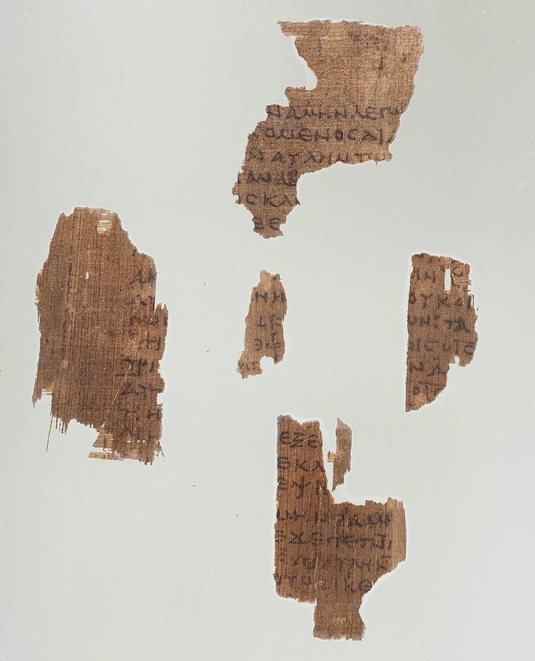 Papyrus 6