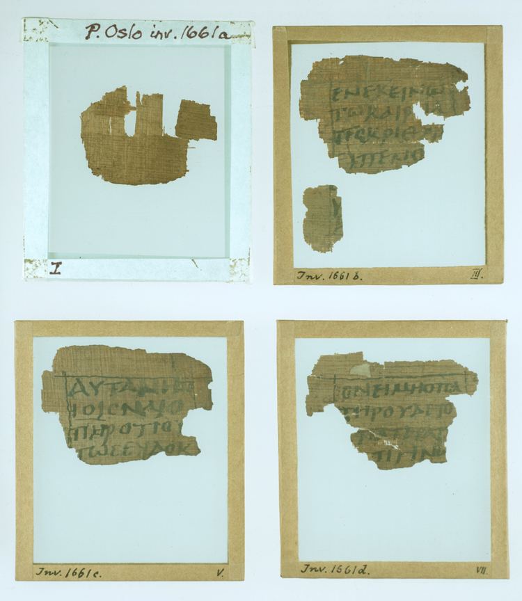Papyrus 62