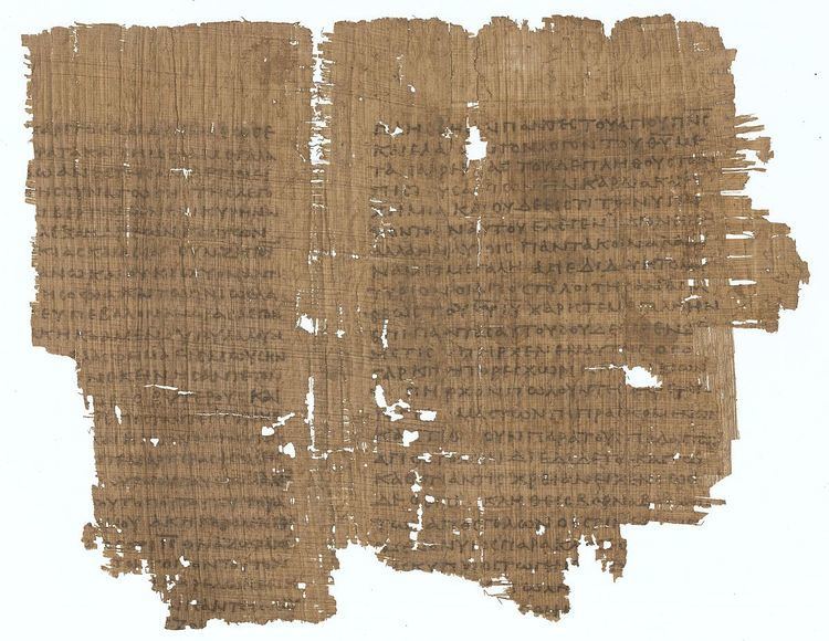 Papyrus 8