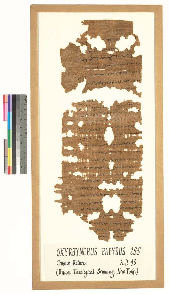 Papyrus Oxyrhynchus 255