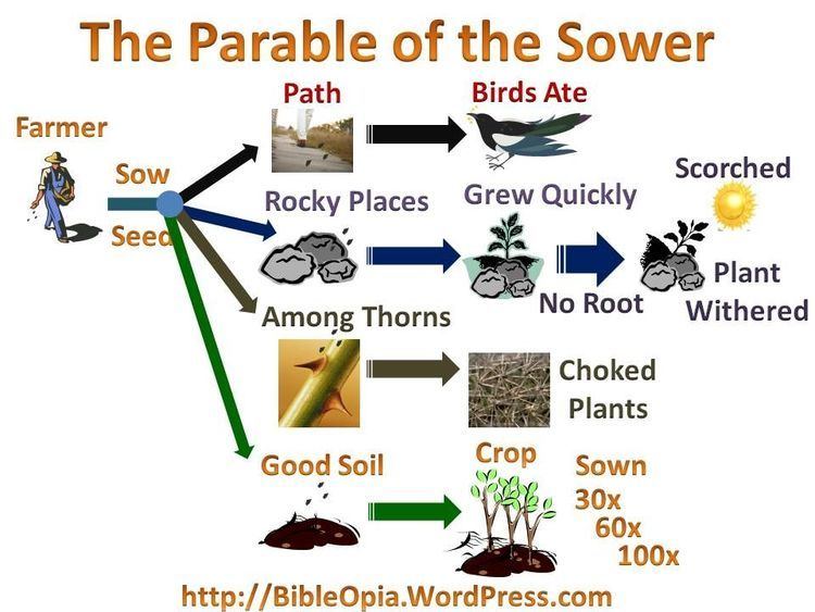 Parable of the Sower 1000 images about Parable of the Sower on Pinterest Crafts