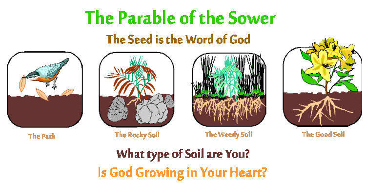 Parable of the Sower The Parable of the Sower