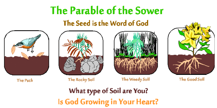 the parable of the sower story