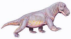 Parabradysaurus httpsuploadwikimediaorgwikipediacommonsthu