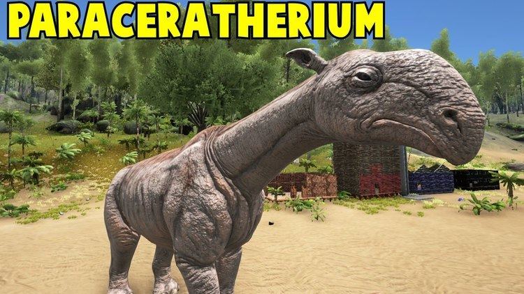 Paraceratherium Paraceratherium Ark Survival Evolved YouTube