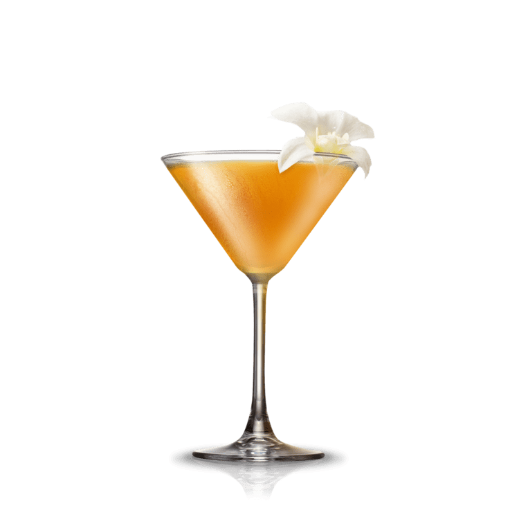Paradise (cocktail) Paradise Cocktail Flow