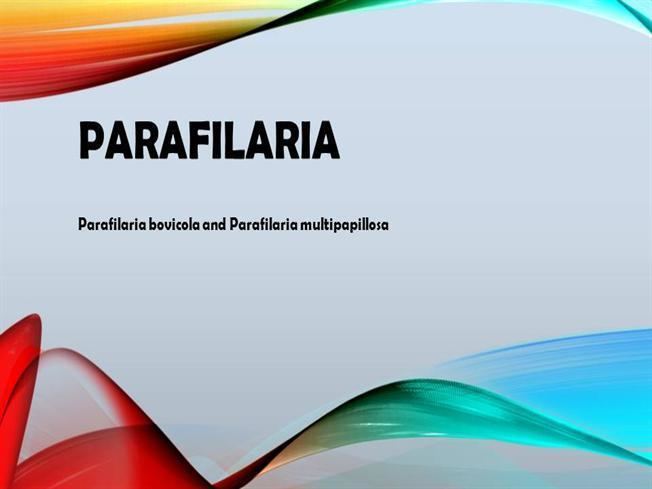 Parafilaria multipapillosa casstaticcomimages20236656352278820518137501jpg