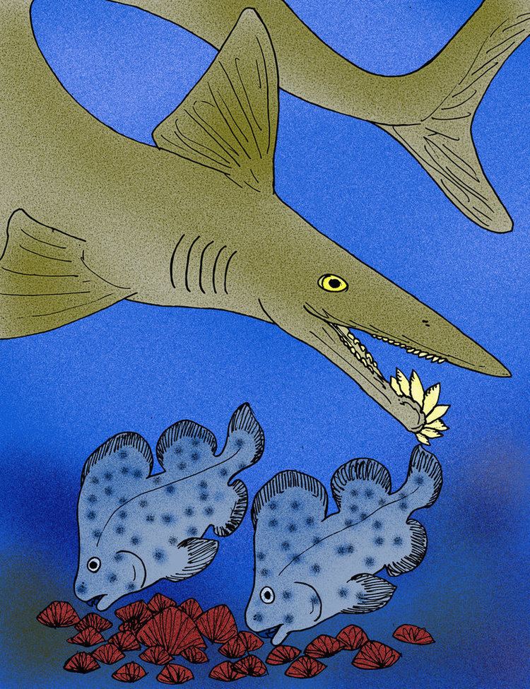 Parahelicoprion Parahelicoprion mariosuarezi by avancna on DeviantArt