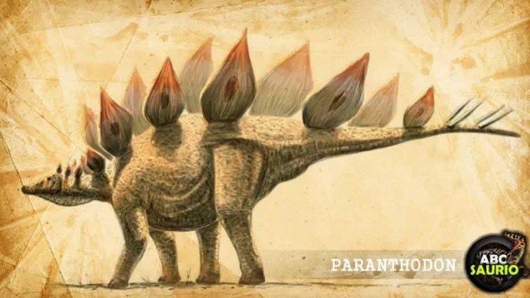 Paranthodon Paranthodon ABCsaurio YouTube