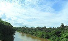 Paraopeba River httpsuploadwikimediaorgwikipediacommonsthu