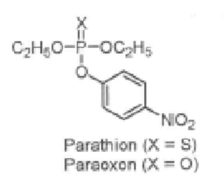Paraoxon Chemical structure of parathion and paraoxon Paraoxon is the