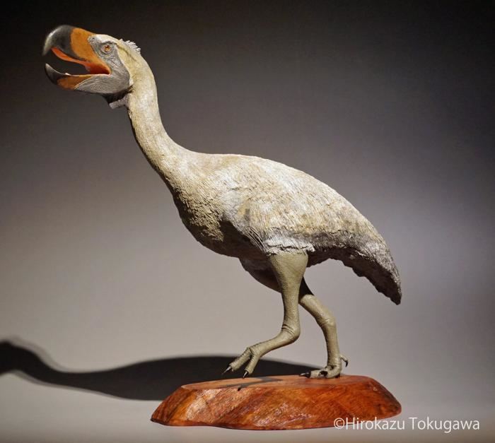 Paraphysornis Hirokazu Tokugawa39s Paleo Sculpture Paraphysornis terror bird 2015