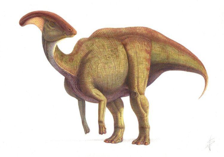 Parasaurolophus Parasaurolophus Facts and Pictures