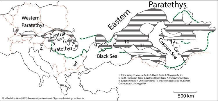 Paratethys Birth of the Paratethys Rocks in the field