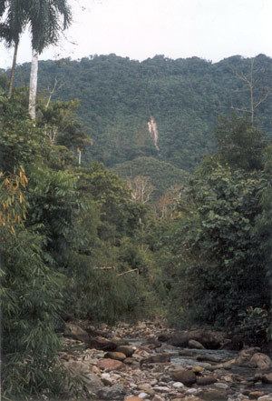Paratoari The mysterious Amazonian quotpyramidsquot 19982002