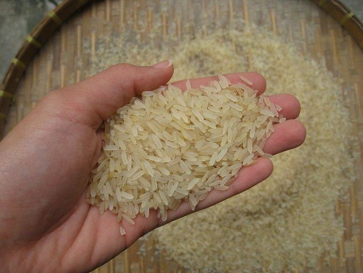 Parboiled rice Medium Grain Parboiled Rice Medium Grain Parboiled Rice Suppliers