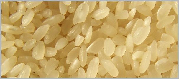 Parboiled rice LONG GRAIN IRRI6 PARBOILED RICE Sherwani EXIM