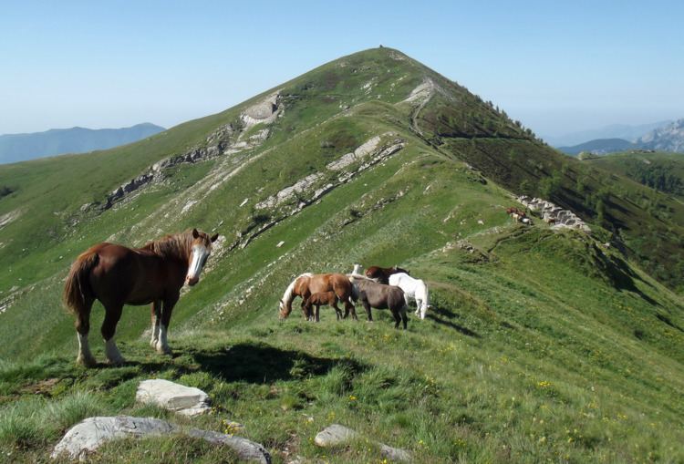 Parco naturale regionale delle Alpi Liguri
