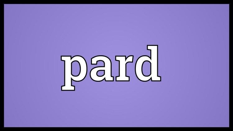 Pard (legendary creature) Pard Meaning YouTube