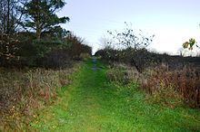 Park Wood, Bedford httpsuploadwikimediaorgwikipediacommonsthu