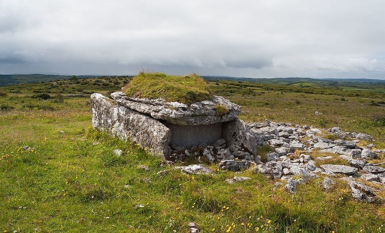 Parknabinnia (wedge tomb)