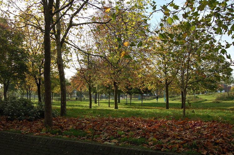 Parks and open spaces in Tower Hamlets