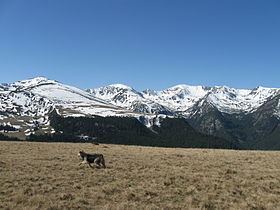 Parâng Mountains httpsuploadwikimediaorgwikipediacommonsthu