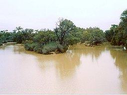 Paroo River httpsuploadwikimediaorgwikipediacommonsthu