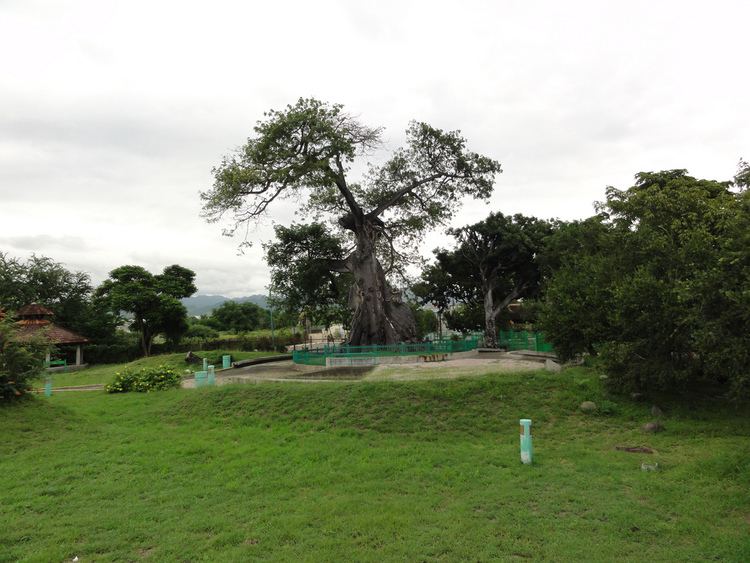 Parque de la Ceiba