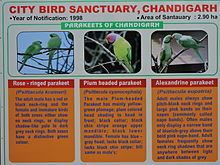 Parrot Bird Sanctuary Chandigarh httpsuploadwikimediaorgwikipediacommonsthu
