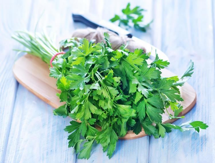 Parsley Parsley Health Benefits Facts Research Medical News Today