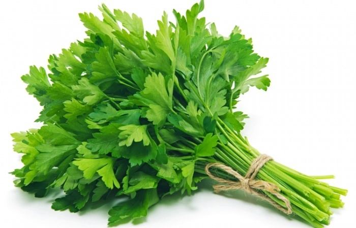 Parsley How To Grow And Care For Parsley Love The Garden