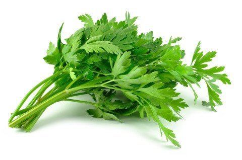 Parsley Parsley Benefits Nutrition amp Recipe Ideas Dr Axe