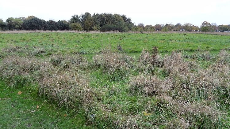 Parsloes Park - Alchetron, The Free Social Encyclopedia