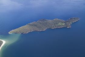 Partridge Island (Tasmania) httpsuploadwikimediaorgwikipediacommonsthu