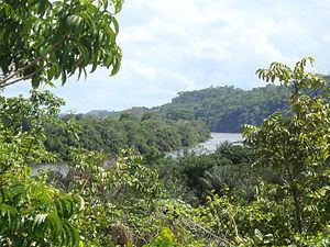 Paru River httpsuploadwikimediaorgwikipediacommonsthu