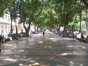 Paseo del Prado, Havana httpsuploadwikimediaorgwikipediacommonsthu