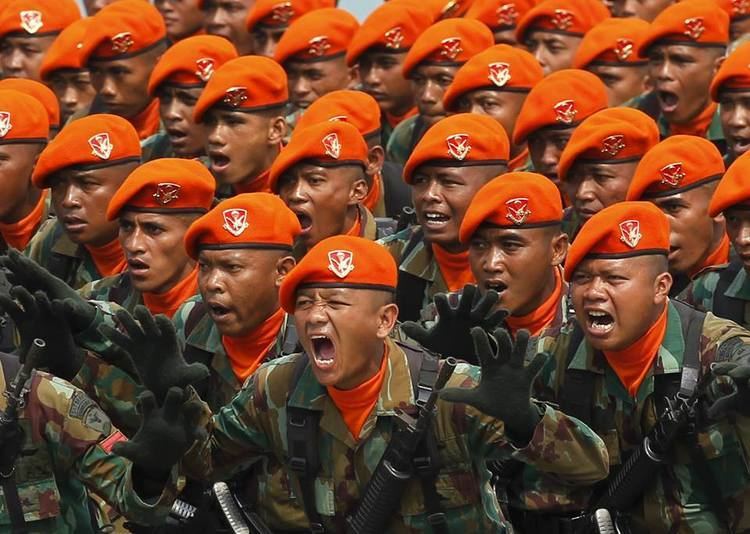 Paskhas Bagi Prajurit Paskhas Latihan Dopper Merupakan Suatu Kebahagiaan