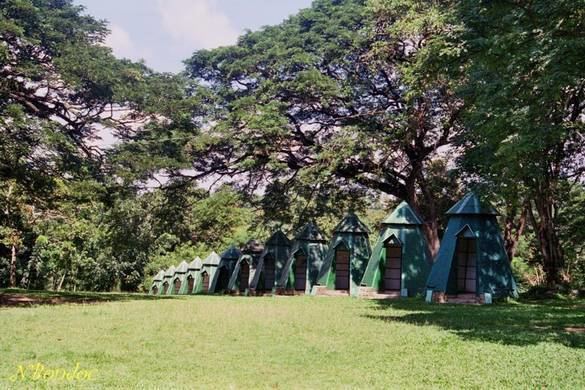 Pasonanca Park BOY SCOUT TEE PEEs IN PASONANCA PARK Zamboanga Philippines Photo