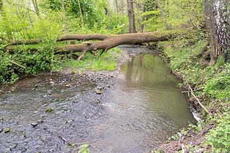 Passade (river) httpsuploadwikimediaorgwikipediacommonsthu