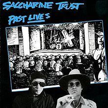 Past Lives (Saccharine Trust album) httpsuploadwikimediaorgwikipediaenthumbf