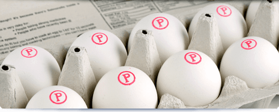 Pasteurized eggs wwwsafeeggscomimgpasteurizedeggs3png