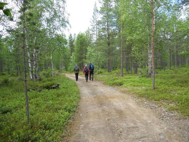 Pasvikdalen Toppturer og andre turer Pasvikdalen og Treriksrysa 23 juli 2012